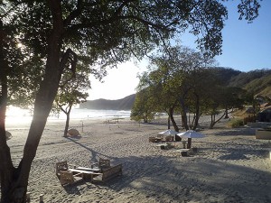 El Guacalito de la isla, en el departamento de Rivas como único en toda Centroamérica.