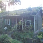 Uno de los búngalos del Hotel ecológico selva Negra